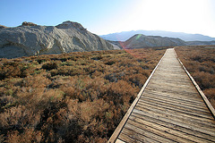 Death Valley Salt Creek (9677)