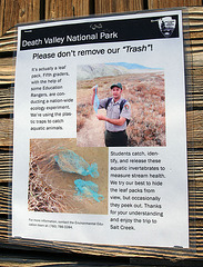 Death Valley Salt Creek Leaf Traps (9675)