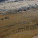 Death Valley Salt Creek With Pupfish (9673)