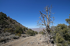 Above Wildrose Canyon (9645)