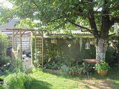 jardin, fond P5201863