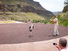 Canarias 27-4-2011 348