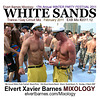 CDCover.WhiteSands.Trance.WPF.GayCircuit.February2011