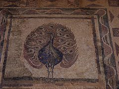 Mosaïque dans la maison de Dionysos à Chypre