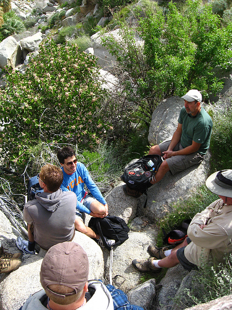 Lunch stop above Maidenhair Falls in Anza-Borrego (1652)