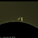 Protubérance solaire 13 mai 2011 Vid46