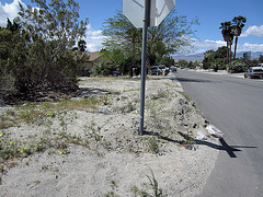Mound of dirt at Mesquite & Cahuilla (0306)