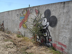 Fency Mickey in Mexico !