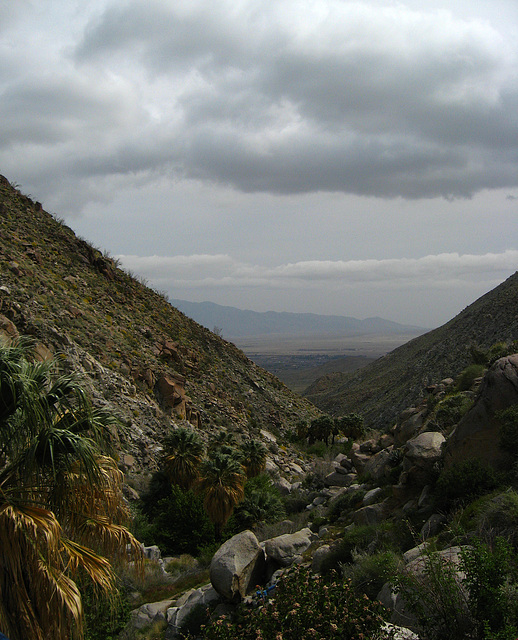 On the trail to Maidenhair Falls in Anza-Borrego (1649)