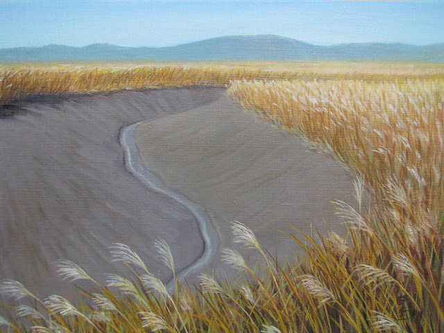 a Landscape with Small Channel of Tidewater 2 = Pejzagxo kun Marakva Flueto 2_oil on canvas=olee sur tolo_33.3x45.5cm(8p)_2011_HO Song
