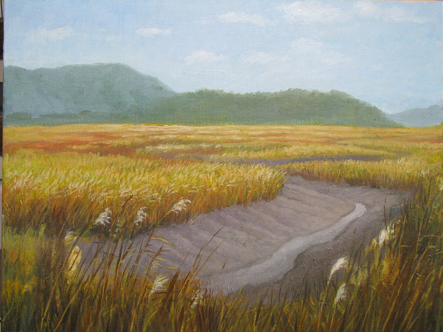 a Landscape with Small Channel of Tidewater 1 = Pejzagxo kun Marakva Flueto 1_oil on canvas=olee sur tolo_41x53cm(10p)_2011_HO Song