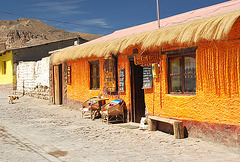 Putre Village. Chile Altiplano 3500meters