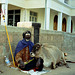 India: A holy man and his cow