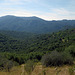 View From Stumpfield Mountain Road (0110)