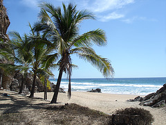 Moment inoubliable sur une plage mexicaine .....