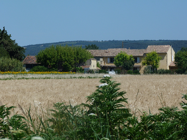 ***Landleben in der Provence