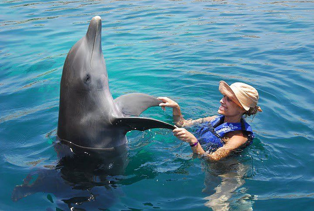Mi hija y su delfin