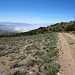 Owens Valley View (0182)