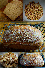 Sprouted Kamut Bread