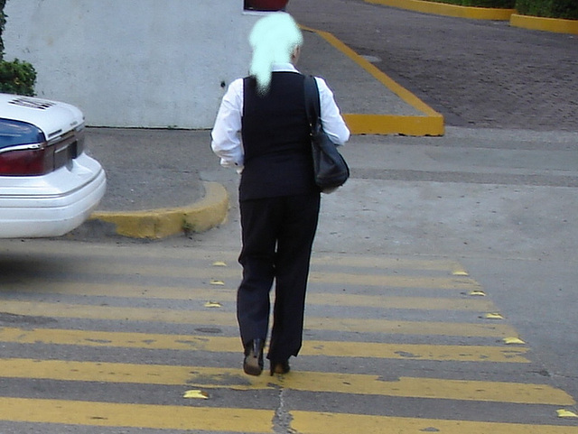 Acapulco, Guerrero - Mexique / 8 février 2011 - Cheveux blancs / White hair