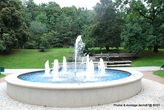 Fontaine Parc Folimanka
