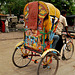 Rickshaw driver India