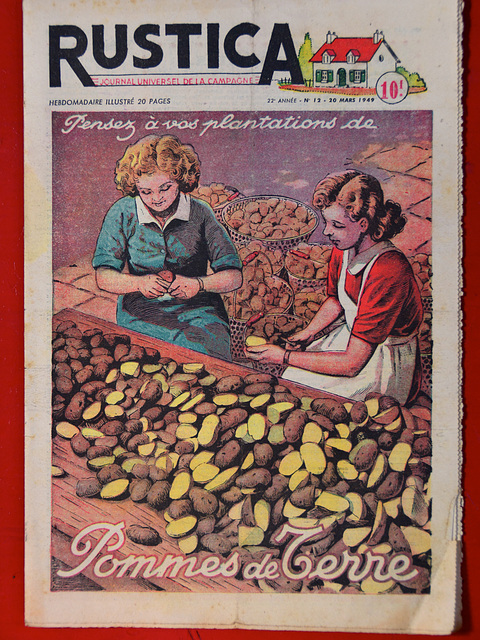 Rustica – Pensez à vos plantations de Pommes de Terre
