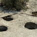 Ancient Water Storage Holes