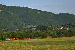 Train de travaux sur la ligne de Belfort