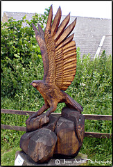 A chain-saw sculpture of an osprey