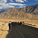 Ladakh. Pony caravan