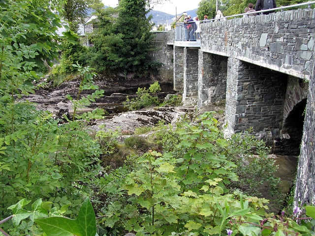 IMG 1735 Brücke von Sneem