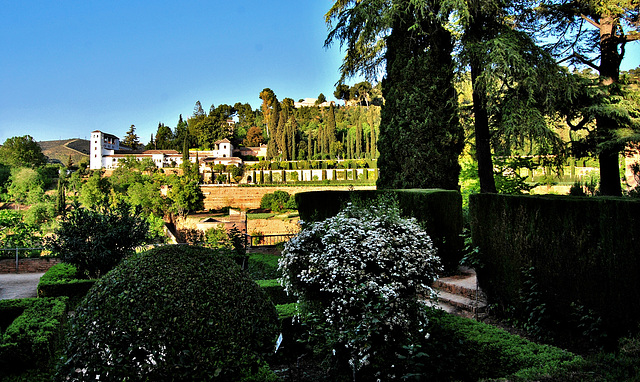 Los jardines del Generalife desde el Parador de San Francisco. Granada.