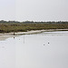 20110603 4964-72RTw [F] Camargue-Panorama 4 [Phare de la Gacholle]