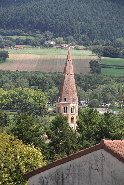 Eglise Saint Marcel - Cluny (71)