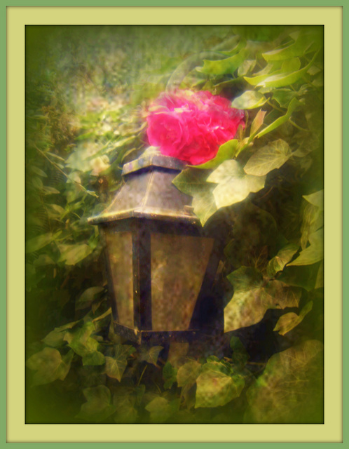 dans un coin du jardin dans un coin du jardin