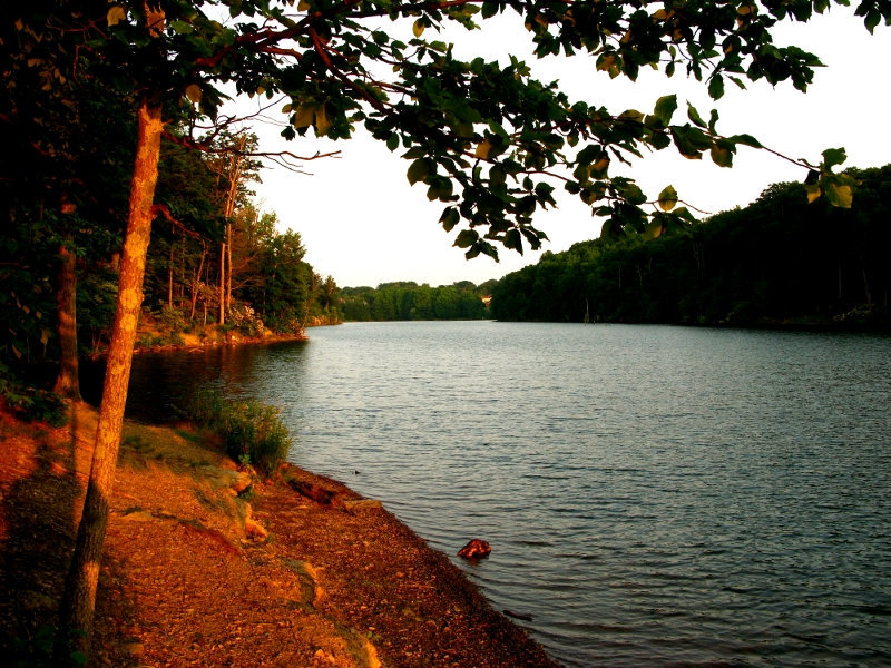 Lake Path---Lago-Irejo