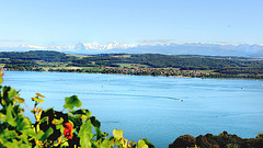 Le lac de Morat et les Alpes
