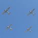 4 x Moonair Cessnas (2) - 23 May 2014
