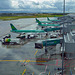Aer Lingus - Maschinen