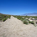 Old Railroad Bed Near Owens Lake (0142)