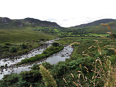 IMG 1520 Ring of Kerry