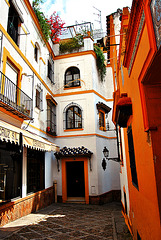 Sevilla. Barrio Sta. Cruz (buscando un restaurante)