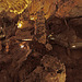 20110531 4693RWw [F] Grotte des Demoiselles [Ganges]