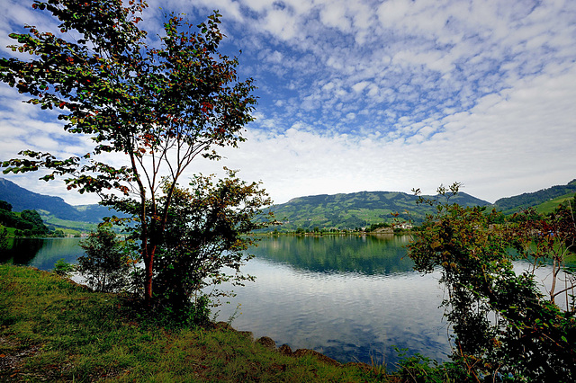 Lac de Zoug (Suisse centrale) Lac de Zoug (Suisse centrale)