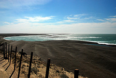 Peninsula Valdes. Argentina