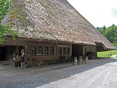 Bauernhaus (221),1609