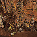 20110531 4688RWw [F] Grotte des Demoiselles [Ganges]
