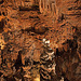20110531 4687RWw [F] Grotte des Demoiselles [Ganges]