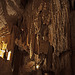 20110531 4678RWw [F] Grotte des Demoiselles [Ganges]